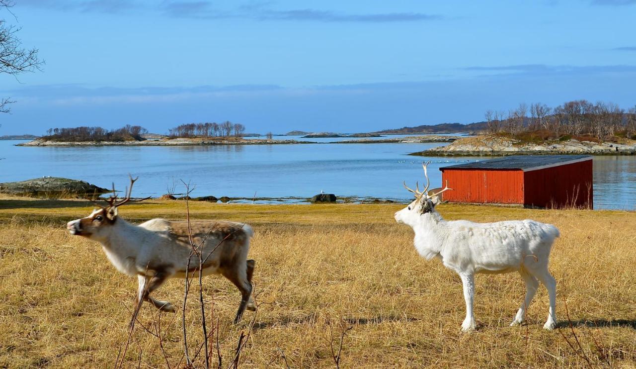 Hamn I Senja Hotel Eksteriør billede