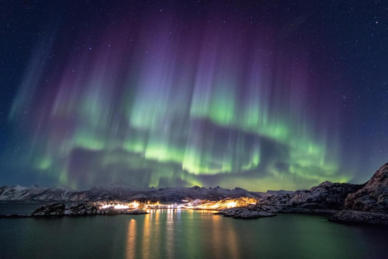 Hamn I Senja Hotel Eksteriør billede