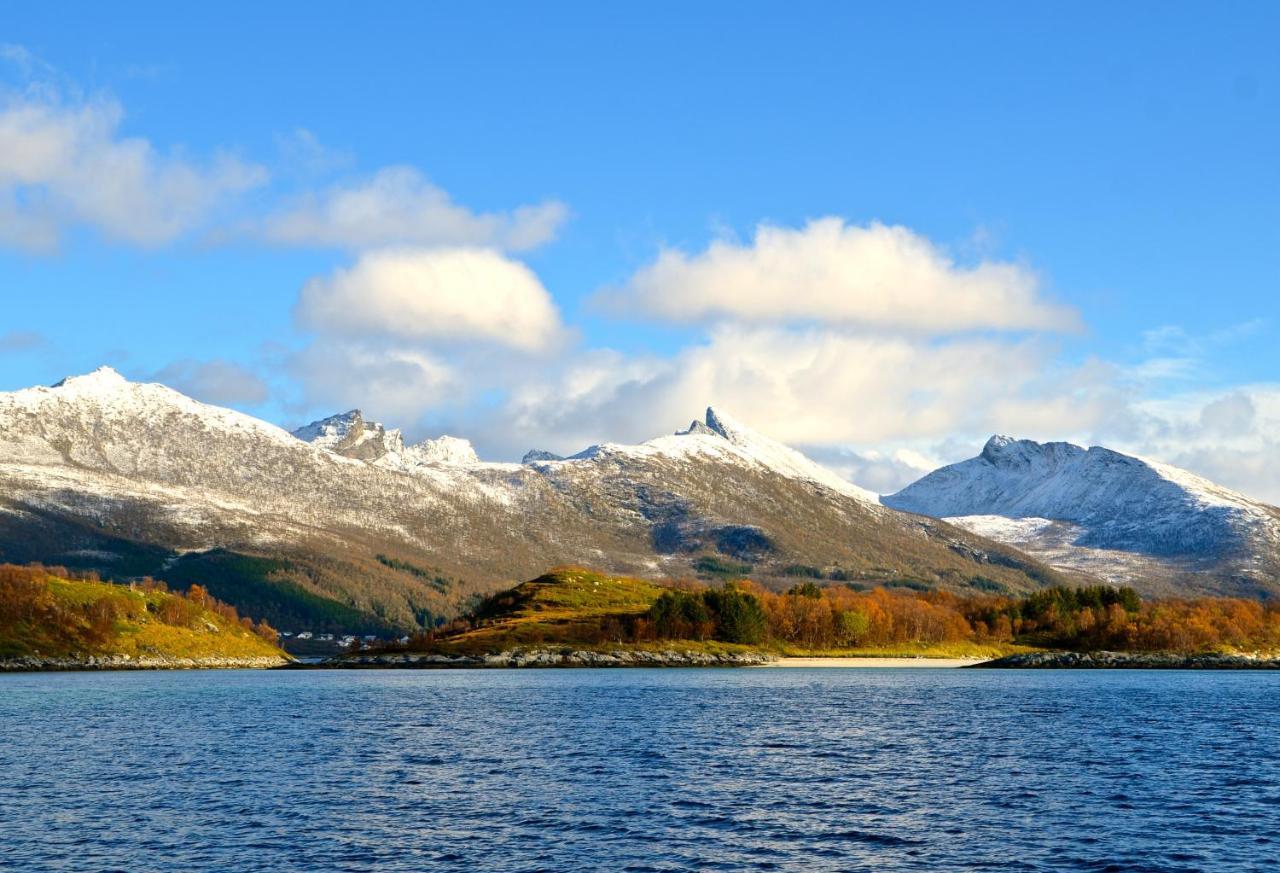 Hamn I Senja Hotel Eksteriør billede